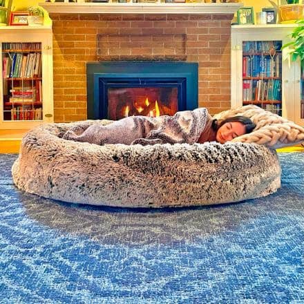 nudityandnerdery: magicalandsomeweirdhometours:Finally, a dog bed for humans. The Pufl. Handmad