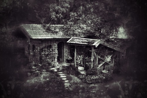 Photo: tvoomEdit: rachelminshull‘Still from a silent movie’ Edited in SnapseedReblogging allowed wit