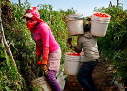 damegasolina:  dynastylnoire:  kateoplis:  The Hard Work and Harsh Conditions of Mexican Farm Labor Camps  oh wow…..  And you wanna call mexicans “lazy” 