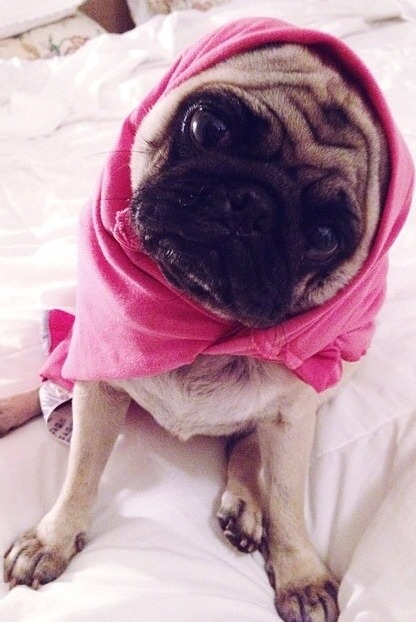 http://sweet-missy.tumblr.com/post/93684675671