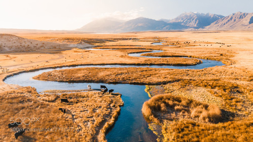 Winding Owens River by RyanLongnecker