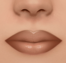 90's Lipliner | N1
