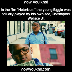 Nowyoukno:  Now You Know More About The Notorious Big Aka Biggie Smalls  Bigs All