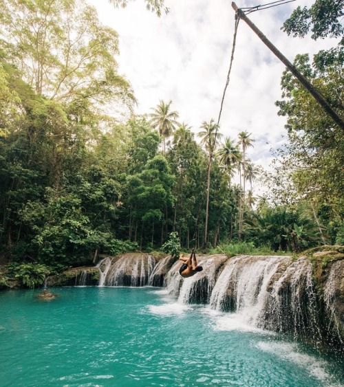 apodyoopsis:Tropical Bliss