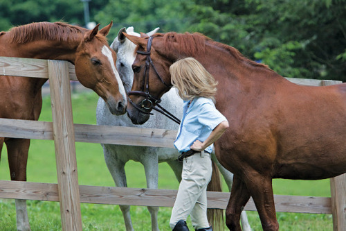 Denis and Anne Leary’s Connecticut farm 