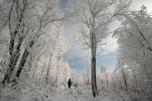 Lost in a winter wonderland Thanks for the homepage feature @stocksyunited  #winter #surreal #surrea