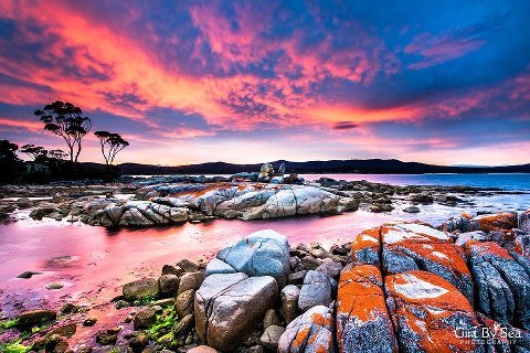 Sex Bay of Fires (Binalong Bay, Tasmania, Australia) pictures