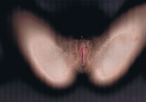 ARTEFACT
