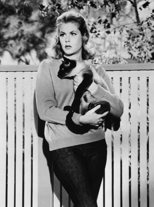 fitesorko:Elizabeth Montgomery