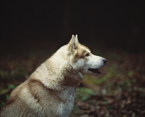 sitoutside:      by  Alex and Nastya  