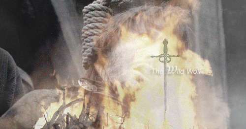 clairelizabethfraser: Brandon, Eddard, Lyanna &amp; Benjen Stark