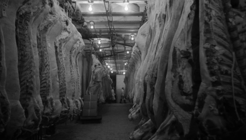 “The question of death selection may be the most important decision in your life.”Second