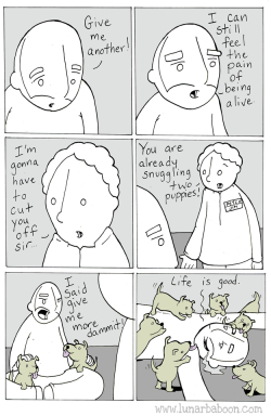 lunarbaboon: lunarbaboon