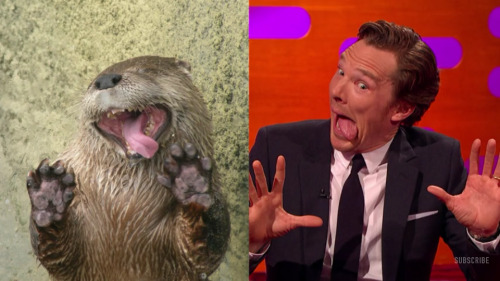 sherlockedduh:Benedict Cumberbatch and Johnny Depp on the Graham Norton show 27.11.2015