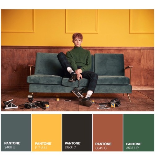 NCT Dream Joy Teaser palettes-Admin Sun☀️  (Please do not repost!)