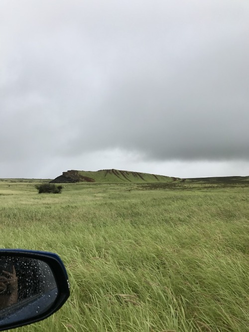 The Tacoma got to play in the mud on the way to green sands south point Hawaii. A lot of roads to ch