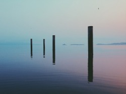 danielodowd:  http://fro-zenframes.vsco.co/