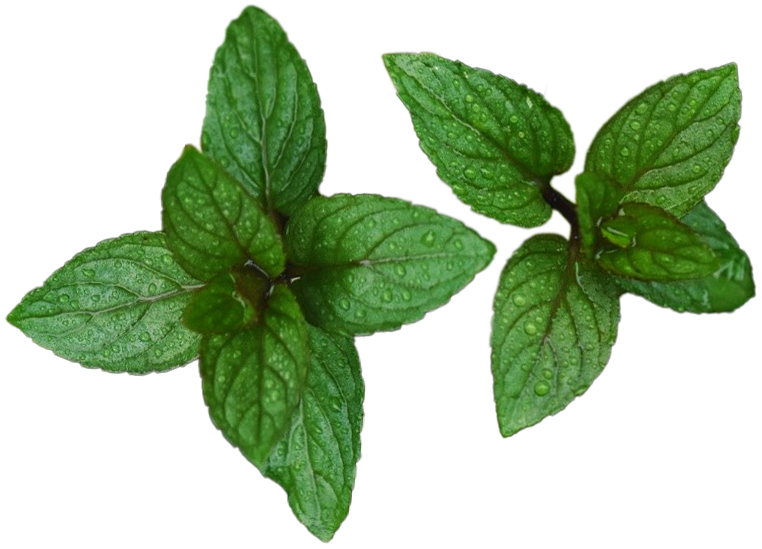 green plant