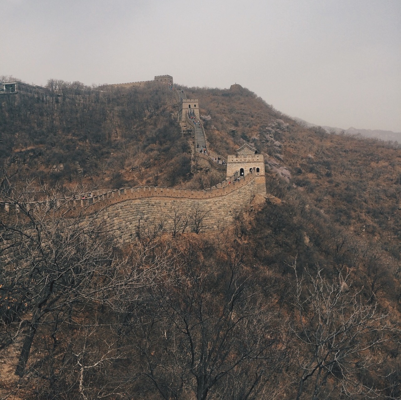 danielodowd:  http://lisahou.vsco.co/