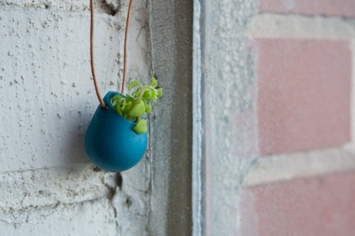 asylum-art:  Wearable Planter: ‘It’s jewelry for green thumbs’: Designer’s business blossoms thanks to rings and necklaces that contain living plants Jewelry for green thumbs’ is how Colleen Jordan, an Atlanta-based industrial designer, describes