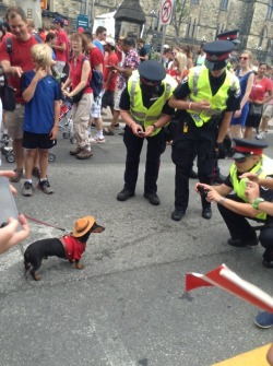 omg-pictures:  Canadian police on the jobhttp://omg-pictures.tumblr.com