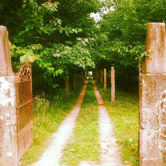 my-heart-can-beat-in-neverland:  Perspectiva #mystuffgasper (em Ponte Lima) 