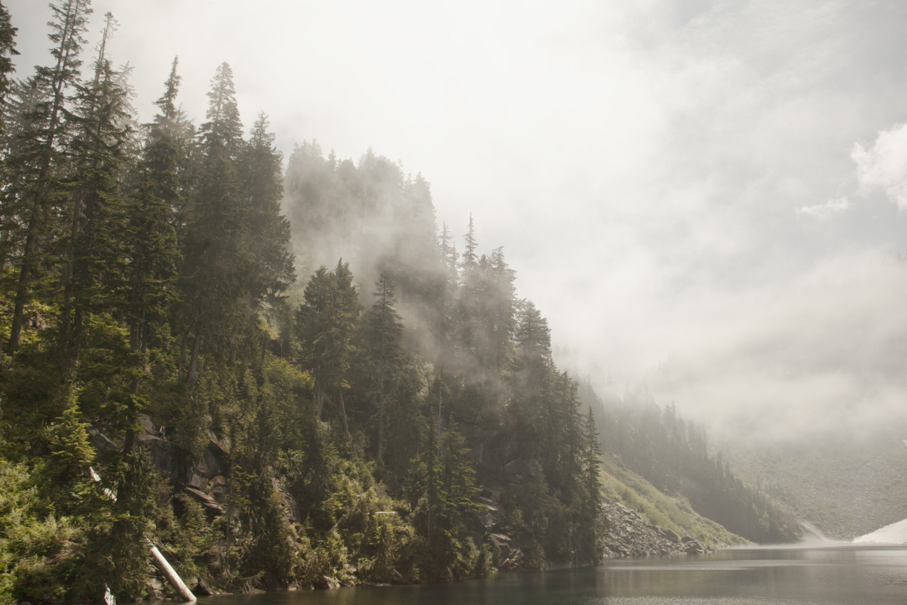 gnatsandmockingbirds:  Almost clear. (Lake Serene, WA. 2014) 