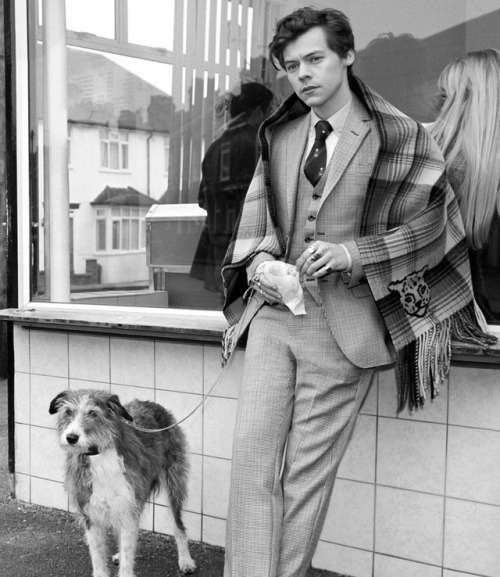 bwboysgallery:Harry Styles by Glen Luchford