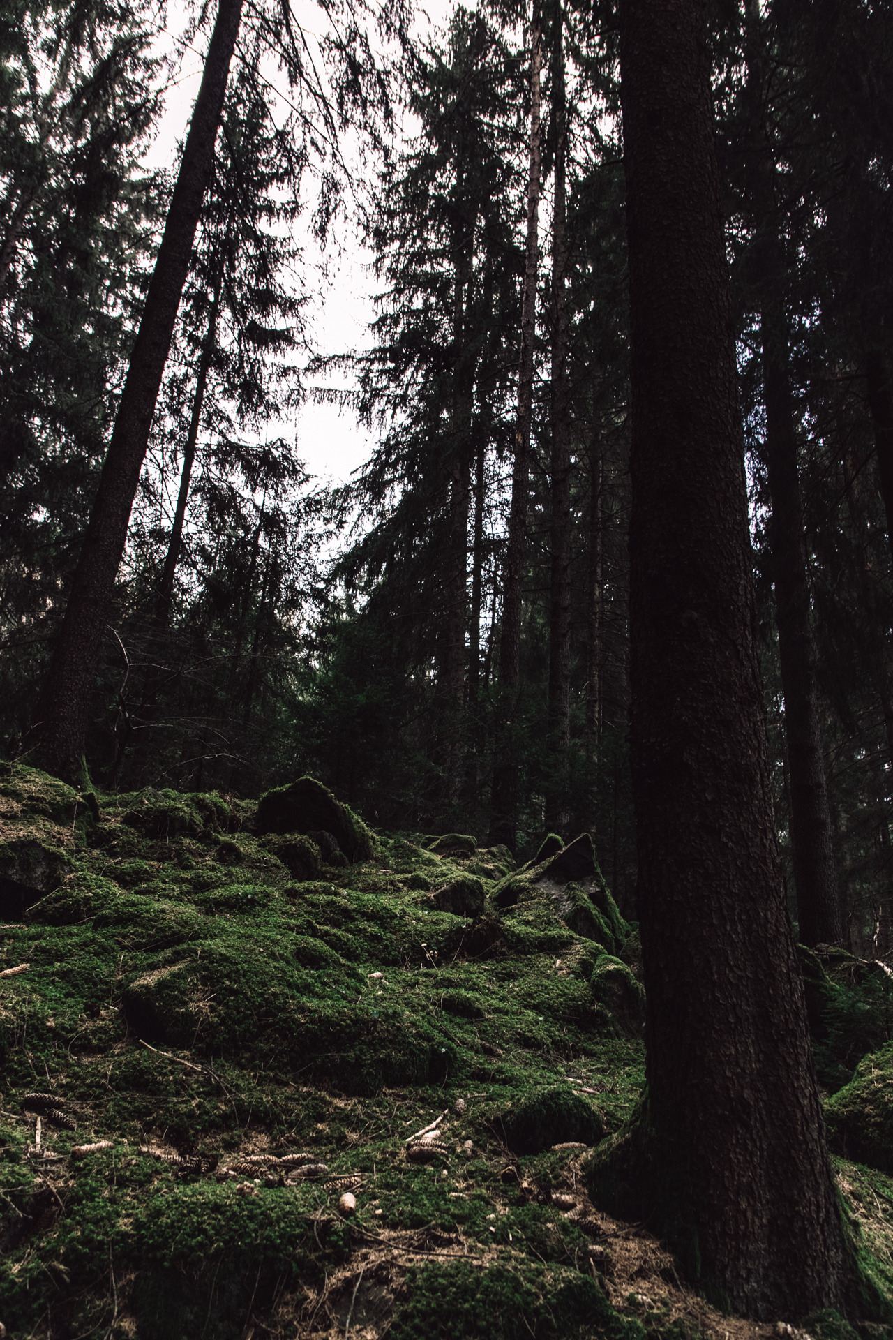 martacorss:  way up (marta cors)instagram | prints | 500px