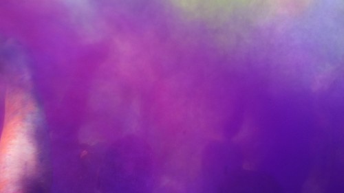 Color Fest 2015 rocked my socks.                   