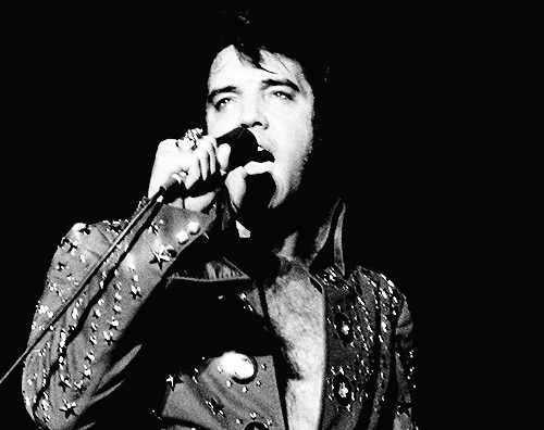 Elvis wearing the Royal Blue Fireworks AKA Owl jumpsuit on November 13, 1972 in San Bernardino,