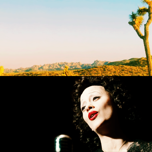 wearyvoices:  I can’t? Then what’s the point of being Edith Piaf? 