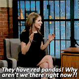 anna-kendrickarchive:  Anna talking about red pandas on Late Night with Seth Meyers