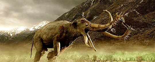 tlotrgifs:    Our Favorites: [Day 17/24] Nat’s Favorite Funny Scene (The Lord of