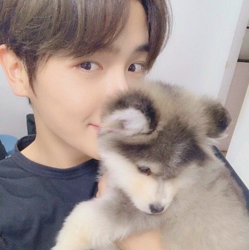 : Mwohaseyo?