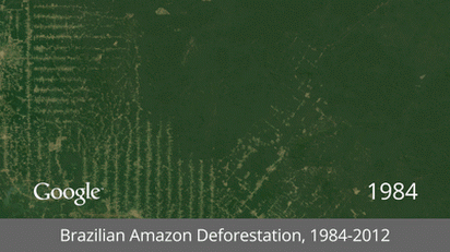 loquierolocompro:   El impacto humano sobre la Tierra: impactantes GIFs de Google Earth Los seres humanos han transformado la tierra más en los últimos doscientos años que en cualquier momento de nuestra historia y muestra de ello son los últimos