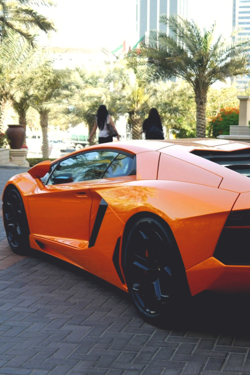 classyhustler:  Aventador | source | more 