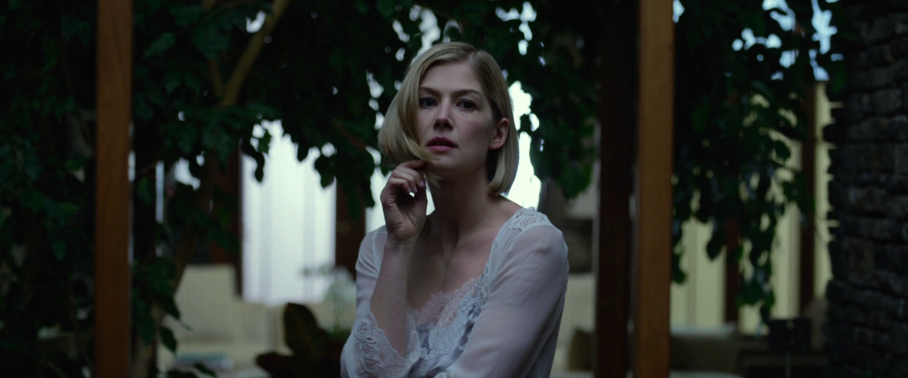 movies-as-photographs:  Gone Girl (2014, USA) 4 | 3 | 3Director: David FincherCinematographer: Jeff