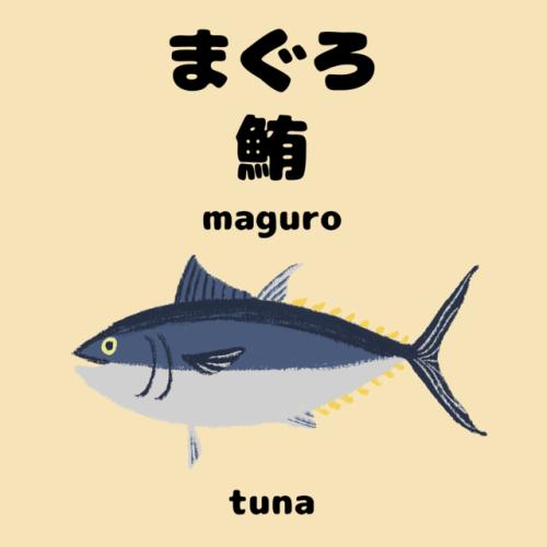 Vocabulary Word 3 :まぐろ鮪magurotuna