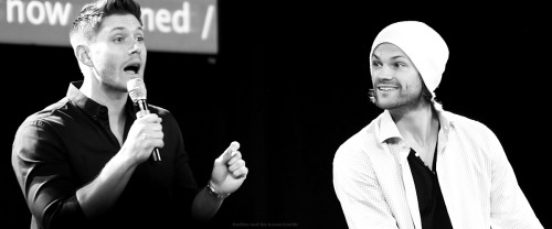 freckles-and-his-moose:  Jensen & Jared: Epic Friendship Part (28/?)       ↳ JIBCON 2014 x 
