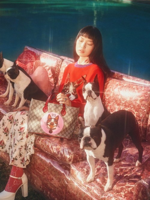 midnight-charm:Gucci celebrates the year of the dogPhotography by Petra CollinsArt Director: Christo