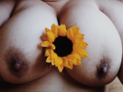 sunflower-fields-forever:  Sunflowers &amp; boobs.  Two of the best things in life