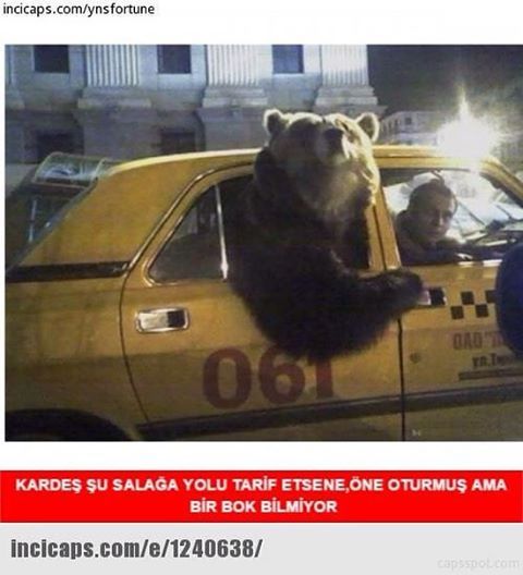 KARDEŞ ŞU SALAĞA YOLU...