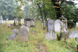 taphophilia:   	Brompton Cemetery, London (1999) by Hunter Desportes    