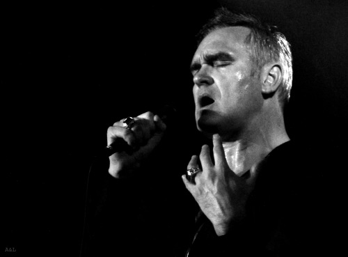 Morrissey by A. &amp; L. Binot