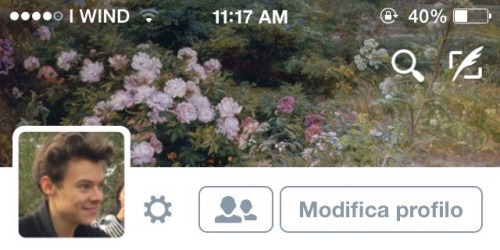 ୨୧˙˳⋆ harry styles layouts ⋆˳˙୨୧ • like or reblog if save. • don’t steal please, respect my wo