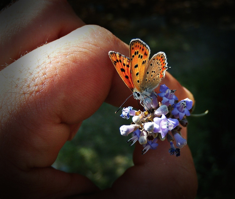 nubbsgalore: photos by mehmet karaca  