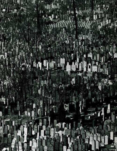 loverofbeauty: Andreas Feininger,  Cemetery in Queens  (1941)