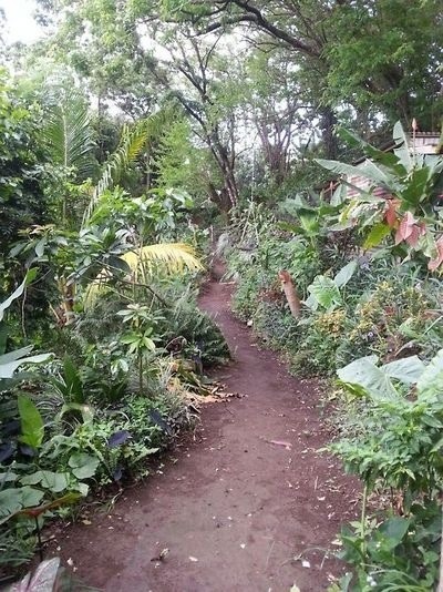0nly-goodvibes:  So jelly of my friend that went to St. vincent this summer! 