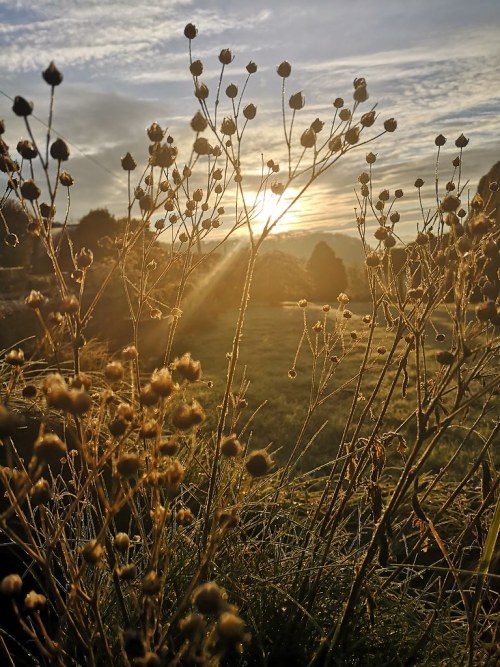 Pembrokeshire  |  by Jack John